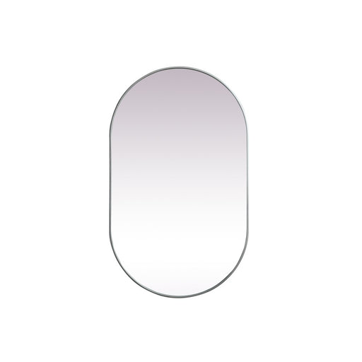 Elegant Decor Asha Metal Frame Oval Mirror 36X60", Silver - MR2A3660SIL