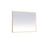 Elegant Decor Pier 36X48" LED Mirror/3000K/4200K/6400K, Brass