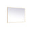 Elegant Decor Pier 42X60" LED Mirror/3000K/4200K/6400K, Brass