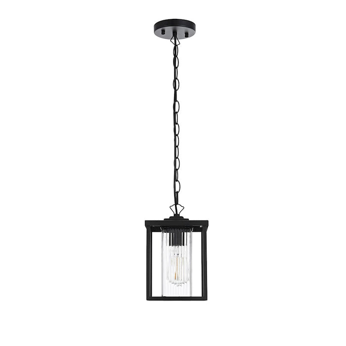 Elegant Lighting Dover 1 Light Outdoor Pendant, Black/Clear