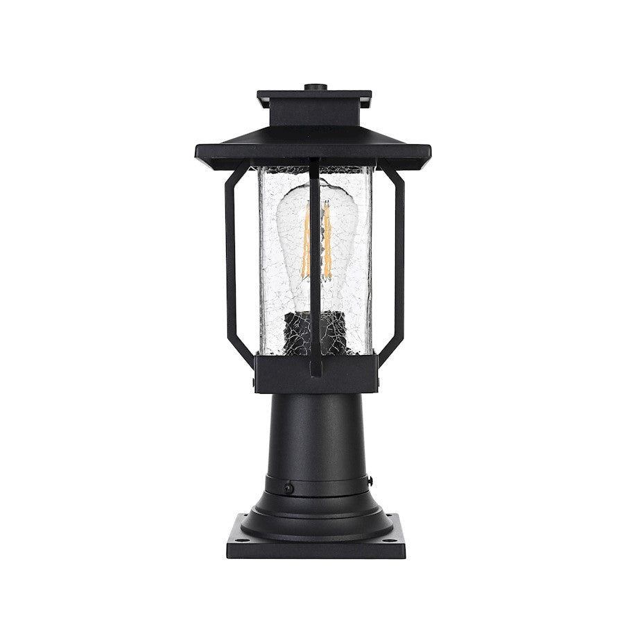 Elegant Lighting Salem 1 Light Outdoor Post Light, Black/Clear