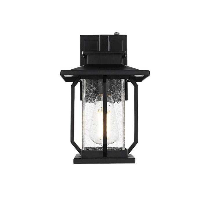 Elegant Lighting Salem 1 Light Outdoor Sconce, Black/Clear