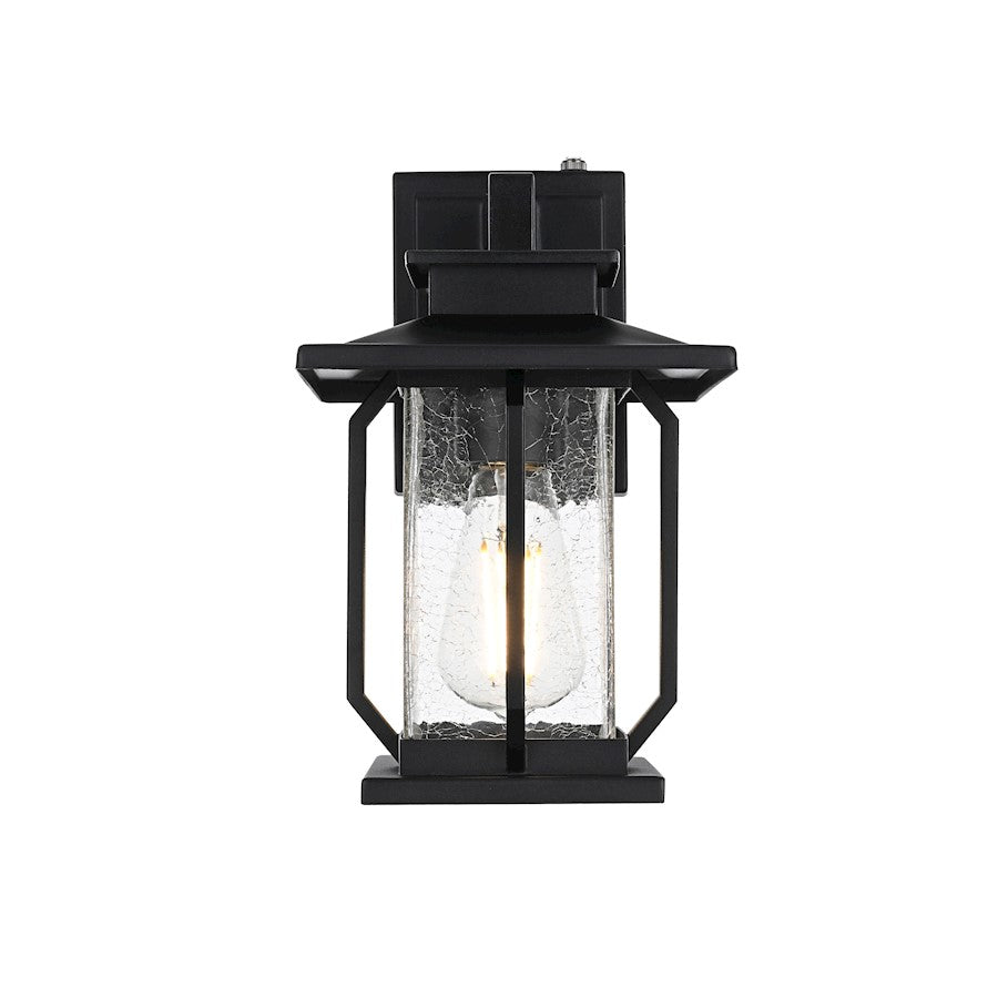 Elegant Lighting Salem 1 Light Outdoor Sconce, Black/Clear