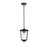 Elegant Lighting York 1 Light 13" Outdoor Pendant, Black/Clear