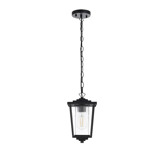 Elegant Lighting York 1 Light 13" Outdoor Pendant, Black/Clear