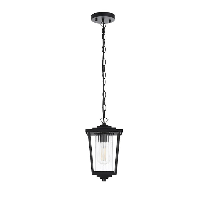 Elegant Lighting York 1 Light 13" Outdoor Pendant, Black/Clear