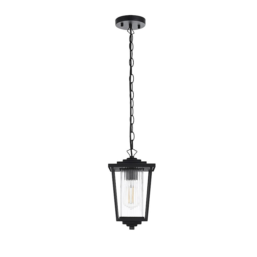 Elegant Lighting York 1 Light 13" Outdoor Pendant, Black/Clear