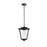 Elegant Lighting York 1 Light 15" Outdoor Pendant, Black/Clear