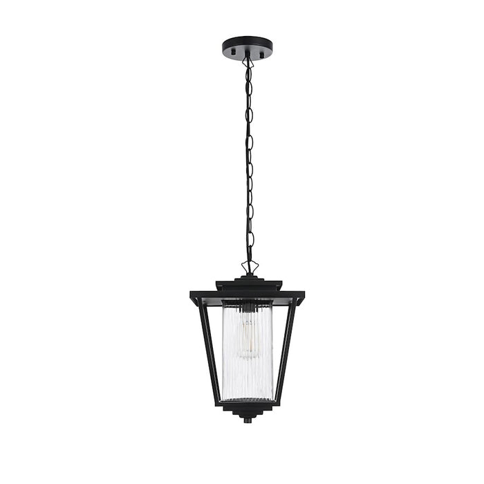 Elegant Lighting York 1 Light 15" Outdoor Pendant, Black/Clear