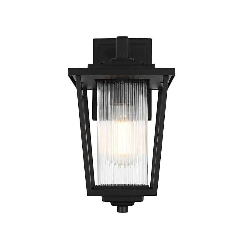 Elegant Lighting York 1 Light 13" Outdoor Sconce, Black/Clear