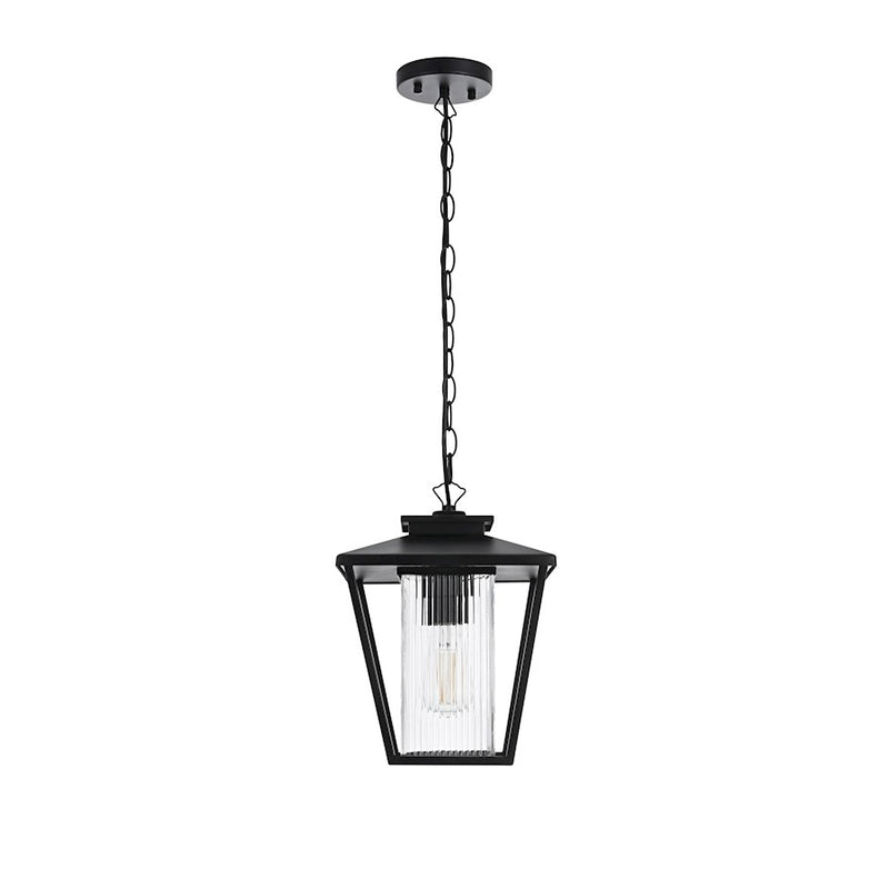 Elegant Lighting Gaul 1 Light Outdoor Pendant, Black/Clear