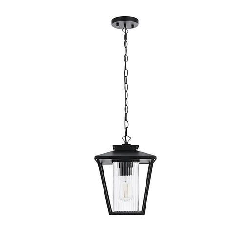 Elegant Lighting Gaul 1 Light Outdoor Pendant, Black/Clear - OD306H14BK