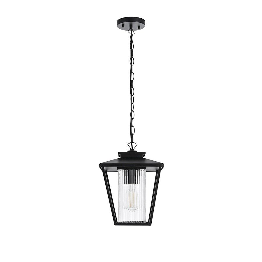 Elegant Lighting Gaul 1 Light Outdoor Pendant, Black/Clear