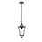 Elegant Lighting Belgrade 1 Light Outdoor Pendant, Black/Clear
