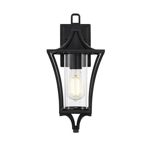 Elegant Lighting Belgrade 1 Light Outdoor Sconce, Black/Clear - OD311W16BK