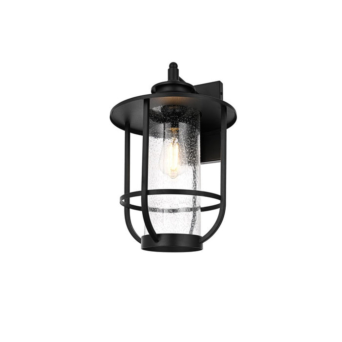 Elegant Lighting Janney 1 Light 11" Outdoor Sconce, Black/Clear