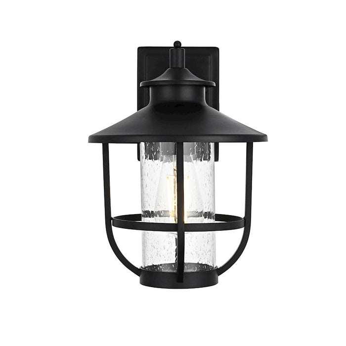 Elegant Lighting Tilton 1 Light Outdoor Sconce, Black/Clear - OD319W12BK