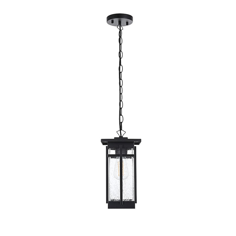 Elegant Lighting Livingston 1 Light Outdoor Pendant, Black/Clear - OD321H14BK