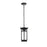 Elegant Lighting Livingston 1 Light Outdoor Pendant, Black/Clear - OD321H14BK