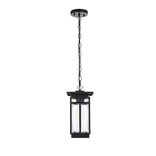 Elegant Lighting Livingston 1 Light Outdoor Pendant, Black/Clear - OD321H14BK