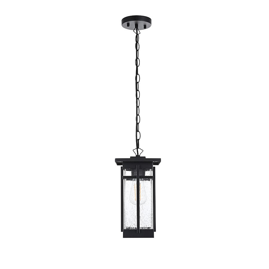 Elegant Lighting Livingston 1 Light Outdoor Pendant, Black/Clear - OD321H14BK
