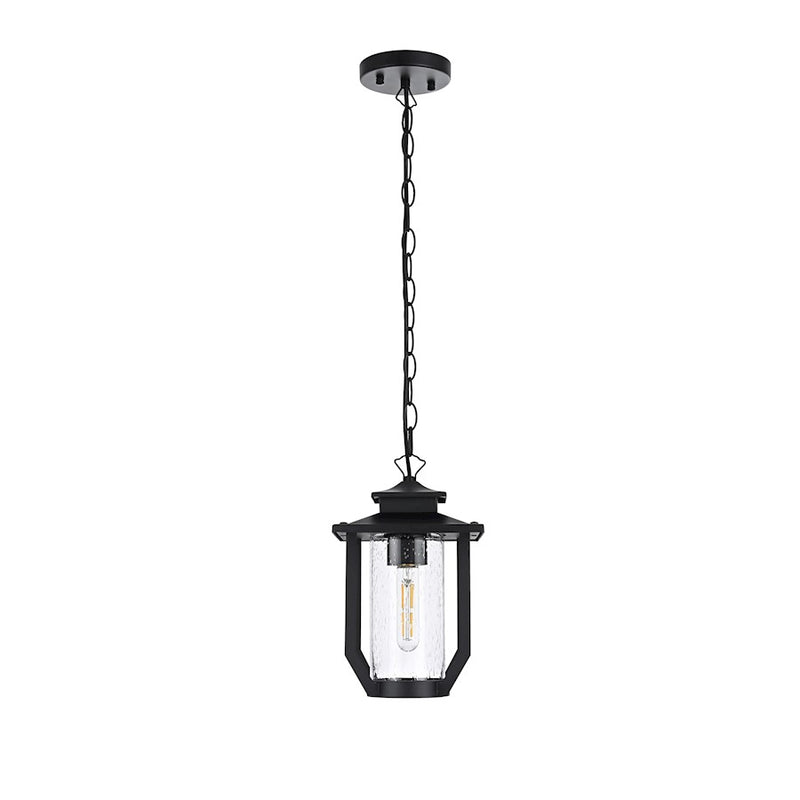 Elegant Lighting Sepviva 1 Light Outdoor Pendant, Black/Clear - OD323H13BK