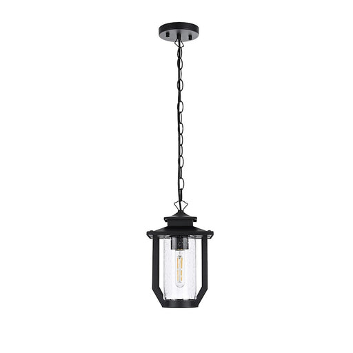 Elegant Lighting Sepviva 1 Light Outdoor Pendant, Black/Clear - OD323H13BK