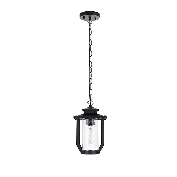Elegant Lighting Sepviva 1 Light Outdoor Pendant, Black/Clear - OD323H13BK
