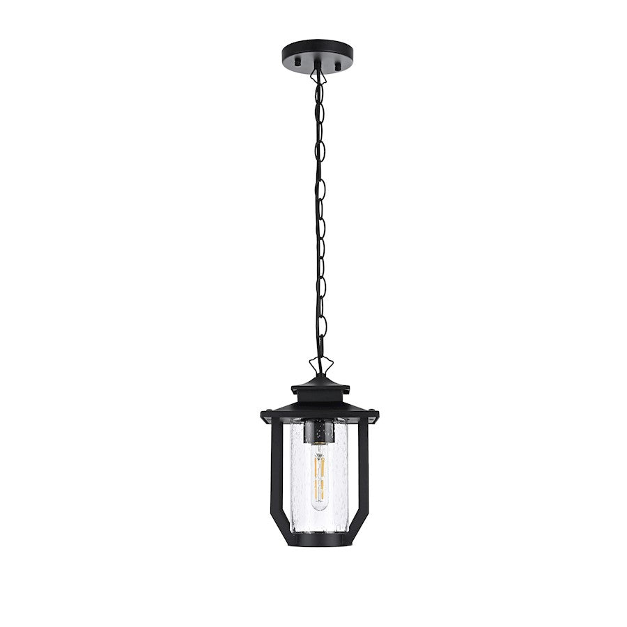 Elegant Lighting Sepviva 1 Light Outdoor Pendant, Black/Clear - OD323H13BK