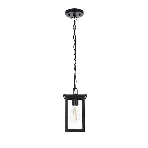 Elegant Lighting Venango 1 Light Outdoor Pendant, Black - OD324H11BK