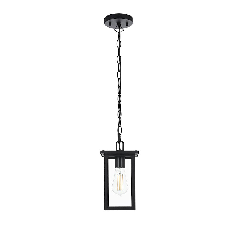 Elegant Lighting Venango 1 Light Outdoor Pendant, Black - OD324H11BK