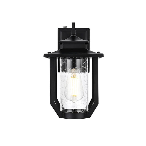 Elegant Lighting Wensley 1 Light 7" Outdoor Pendant, Black/Clear - OD326W13BK