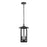 Elegant Lighting Thayer 2 Light Outdoor Pendant, Black - OD327H17BK