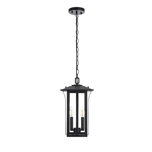 Elegant Lighting Thayer 2 Light Outdoor Pendant, Black - OD327H17BK
