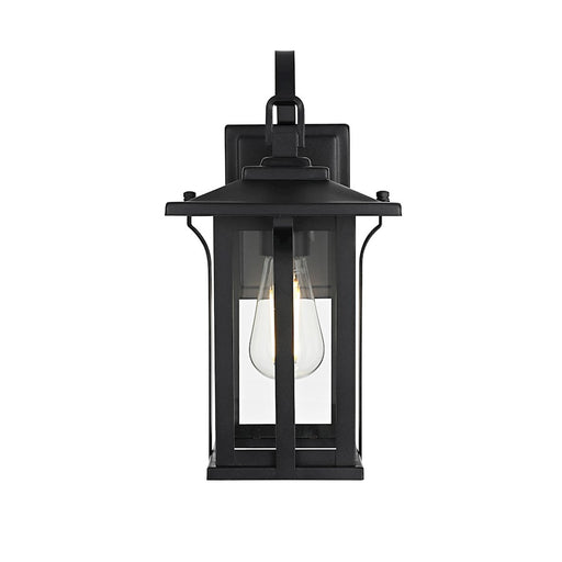Elegant Lighting Thayer 1 Light Outdoor Pendant, Black - OD327W14BK