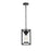 Elegant Lighting Willington 1 Light Outdoor Pendant, Black/Clear - OD329H13BK