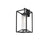 Elegant Lighting Willington 1Lt 12" Outdoor Sconce, Black/Clear