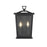 Elegant Lighting Richmond 2 Light Outdoor Pendant, Black - OD331W14BK