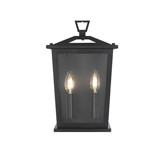 Elegant Lighting Richmond 2 Light Outdoor Pendant, Black - OD331W14BK