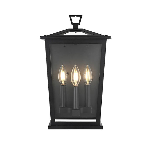 Elegant Lighting Richmond 3 Light Outdoor Pendant, Black - OD331W16BK