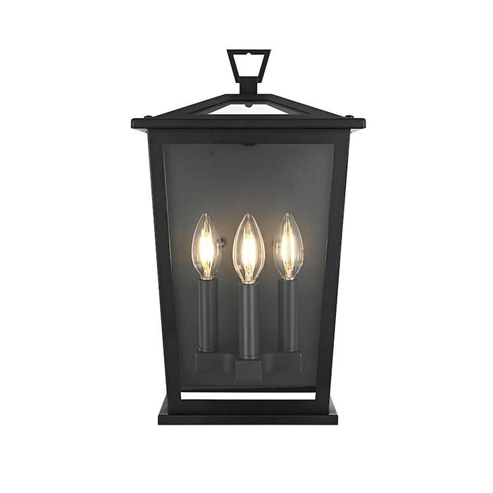 Elegant Lighting Richmond 3 Light Outdoor Pendant, Black - OD331W16BK