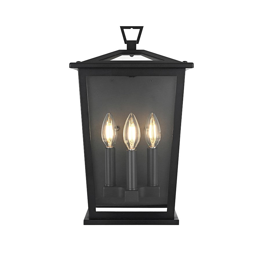 Elegant Lighting Richmond 3 Light Outdoor Pendant, Black - OD331W16BK