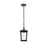 Elegant Lighting Cayman 1 Light Outdoor Pendant, Black - OD332H12BK