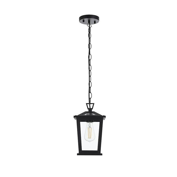 Elegant Lighting Cayman 1 Light Outdoor Pendant, Black - OD332H12BK