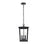 Elegant Lighting Cayman 3 Light Outdoor Pendant, Black - OD332H16BK