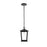 Elegant Lighting Berks 1 Light Outdoor Pendant, Black - OD333H12BK