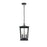 Elegant Lighting Berks 3 Light Outdoor Pendant, Black - OD333H16BK