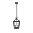 Elegant Lighting Frankford 2 Light 17" Outdoor Pendant, Black - OD334H17BK