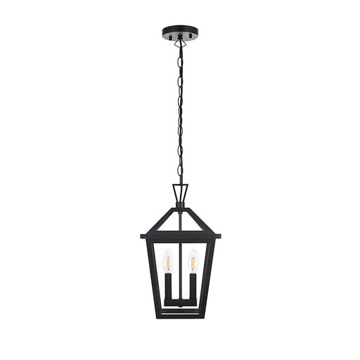 Elegant Lighting Frankford 2 Light 17" Outdoor Pendant, Black - OD334H17BK