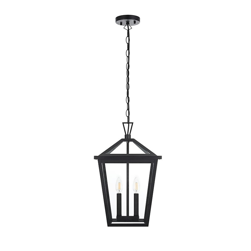 Elegant Lighting Frankford 2 Light 19" Outdoor Pendant, Black - OD334H19BK